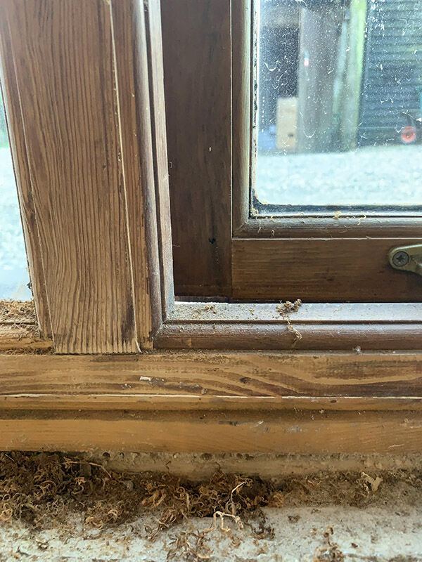 Window and beam restoration – Home renovation, Kent, photo 2