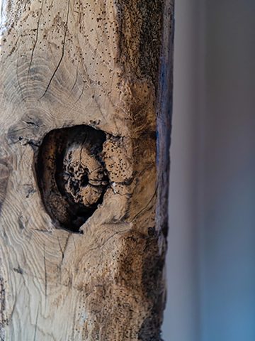 Window and beam restoration