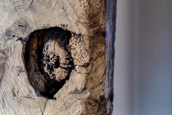 UsFew | We have a close network of teams that specialise in the conservation & restoration of historic buildings